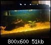         

:  DSC00191.jpg
:  253
:  50,6 KB