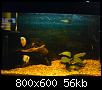         

:  DSC00200.jpg
:  231
:  56,5 KB