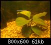         

:  DSC00198.jpg
:  214
:  60,7 KB
