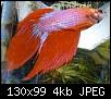         

:  images[9].jpg
:  265
:  4,0 KB