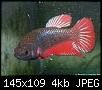        

:  983NDCA5MQM1LCAJ7C159CAVIJAXBCAXNZNDXCALVJA7YCAVR19RZCA70KXD2CASE6AQBCADYCPKGCA6IDRG1CA98N7QGCAT.jpg
:  276
:  3,6 KB