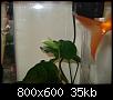         

:   2009 001.jpg
:  430
:  34,8 KB