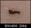         

:  DSC00249.jpg
:  1347
:  20,4 KB