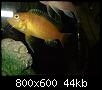         

:  P5060018.jpg
:  249
:  43,6 KB