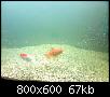         

:  052209000031.jpg
:  363
:  67,4 KB