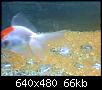         

:  052309014743_0.jpg
:  347
:  65,8 KB