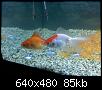         

:  052309014743_5.jpg
:  362
:  85,1 KB