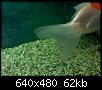         

:  052509023947_3.jpg
:  333
:  61,6 KB