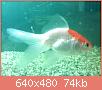         

:  052809013046_3.jpg
:  307
:  73,7 KB