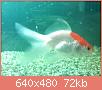         

:  052809013046_5.jpg
:  346
:  71,5 KB