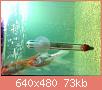         

:  052809225642_0.jpg
:  324
:  73,2 KB