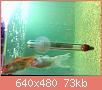         

:  052809225642_3.jpg
:  331
:  72,6 KB