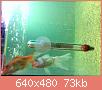         

:  052809225642_4.jpg
:  326
:  72,9 KB