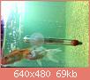         

:  052809225642_5.jpg
:  326
:  68,9 KB