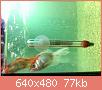         

:  052809225701_3.jpg
:  314
:  77,4 KB