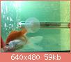        

:  052809225845_0.jpg
:  321
:  59,3 KB