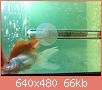         

:  052809225845_1.jpg
:  314
:  66,4 KB