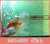        

:  052809225845_2.jpg
:  295
:  65,0 KB
