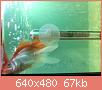         

:  052809225845_4.jpg
:  307
:  67,4 KB
