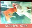         

:  052809225906_0.jpg
:  298
:  67,0 KB