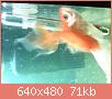         

:  052809225906_1.jpg
:  348
:  70,6 KB
