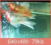         

:  052809230107.jpg
:  315
:  79,3 KB