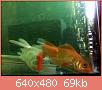         

:  052809230232_0.jpg
:  304
:  69,5 KB