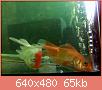         

:  052809230232_1.jpg
:  299
:  65,2 KB