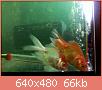         

:  052809230318_0.jpg
:  297
:  66,2 KB