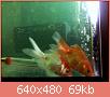         

:  052809230318_1.jpg
:  335
:  68,8 KB