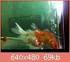         

:  052809230318_2.jpg
:  290
:  69,3 KB