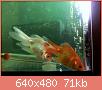         

:  052809230318_4.jpg
:  263
:  70,6 KB