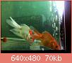         

:  052809230318_5.jpg
:  305
:  70,3 KB