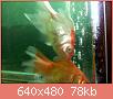         

:  052809230351_1.jpg
:  297
:  77,7 KB