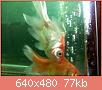         

:  052809230351_2.jpg
:  313
:  77,4 KB