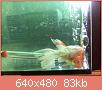         

:  052809230441_0.jpg
:  268
:  83,4 KB