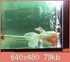        

:  052809230441_1.jpg
:  305
:  78,9 KB