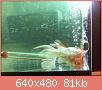         

:  052809230441_2.jpg
:  322
:  81,1 KB