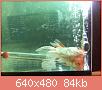         

:  052809230441_3.jpg
:  323
:  83,7 KB