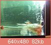         

:  052809230441_4.jpg
:  279
:  81,9 KB