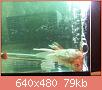         

:  052809230441_5.jpg
:  320
:  79,0 KB