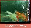         

:  052809230530_0.jpg
:  299
:  79,1 KB