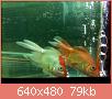         

:  052809230530_1.jpg
:  259
:  79,2 KB