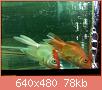         

:  052809230530_2.jpg
:  269
:  77,6 KB