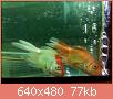         

:  052809230530_3.jpg
:  320
:  76,8 KB