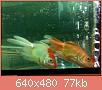         

:  052809230530_4.jpg
:  314
:  77,2 KB