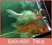         

:  052809230605_0.jpg
:  256
:  74,0 KB
