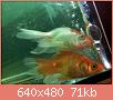        

:  052809230605_1.jpg
:  287
:  71,4 KB