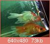         

:  052809230605_2.jpg
:  339
:  73,3 KB