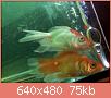         

:  052809230605_3.jpg
:  350
:  75,4 KB
